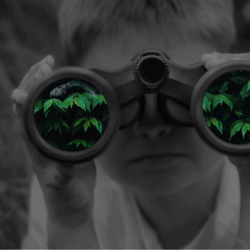 Boy with binoculars which are showing green shoots