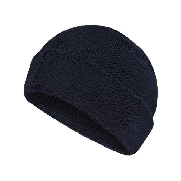 Thinsulate Beanie Hat